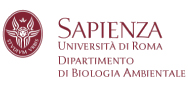 Università di Roma La Sapienza