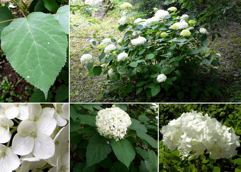 immagine banner chiave