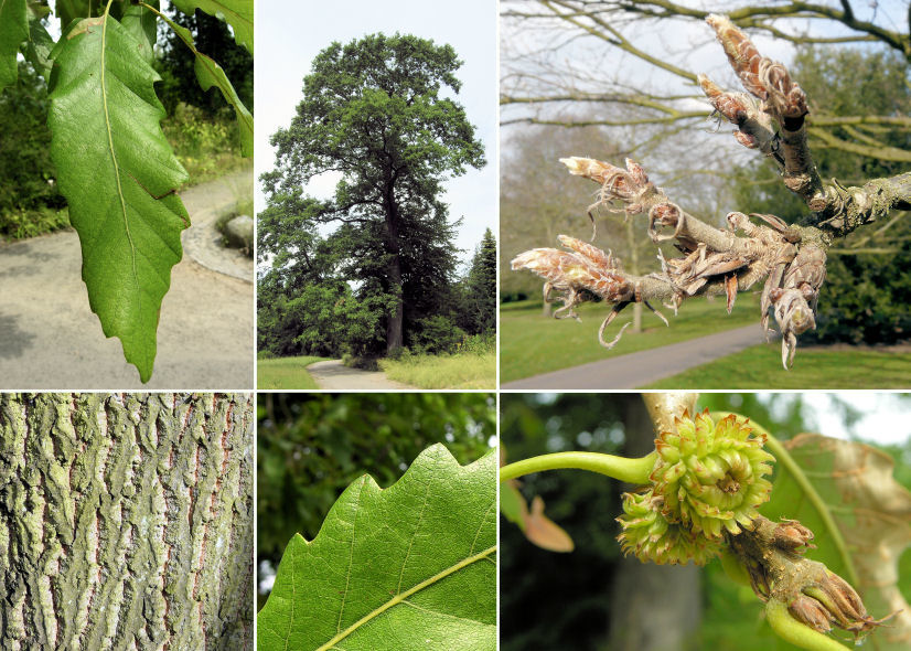 immagine banner chiave