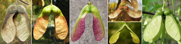 immagine banner chiave