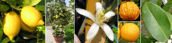 immagine banner chiave