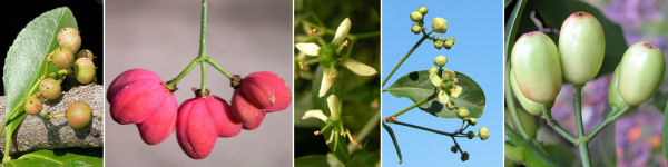 immagine banner chiave