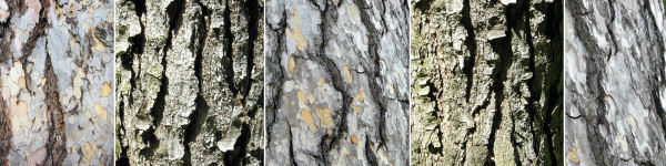 immagine banner chiave