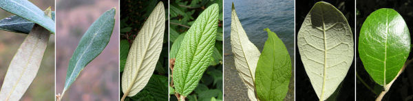 immagine banner chiave