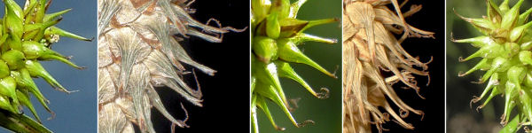 immagine banner chiave