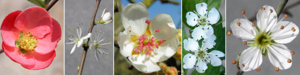 immagine banner chiave