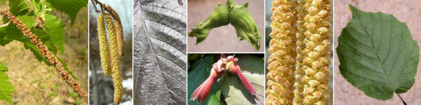 immagine banner chiave