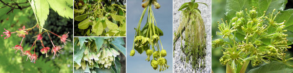 immagine banner chiave