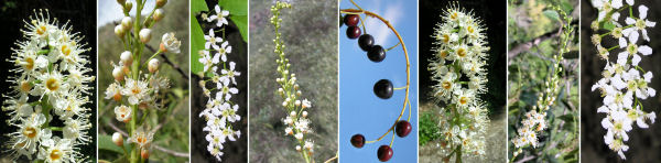 immagine banner chiave