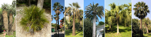 immagine banner chiave