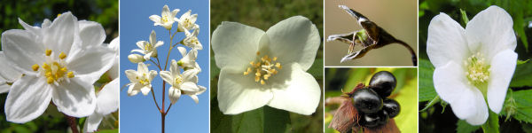 immagine banner chiave