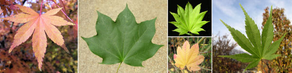 immagine banner chiave