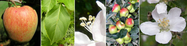 immagine banner chiave