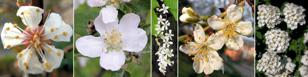 immagine banner chiave