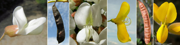 immagine banner chiave