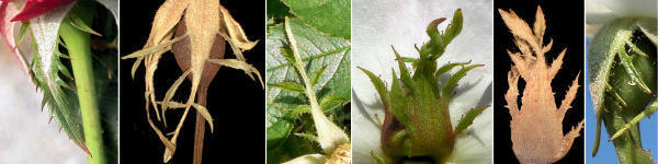 immagine banner chiave