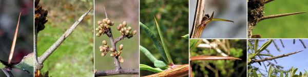 immagine banner chiave