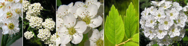 immagine banner chiave