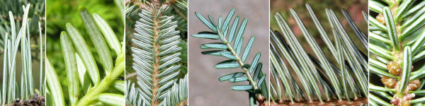 immagine banner chiave