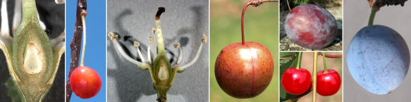 immagine banner chiave