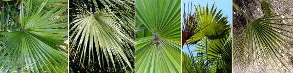 immagine banner chiave