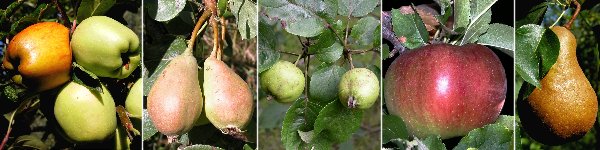 immagine banner chiave