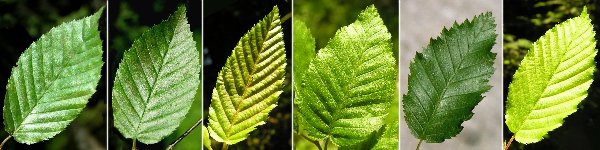 immagine banner chiave