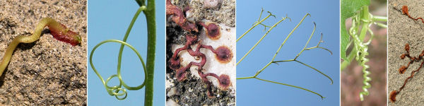 immagine banner chiave