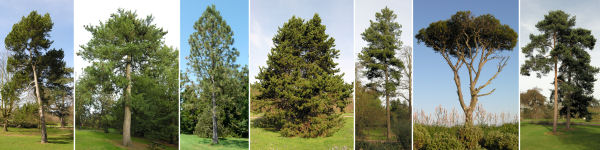 immagine banner chiave