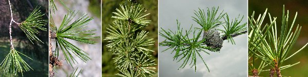 immagine banner chiave