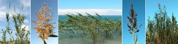 immagine banner chiave