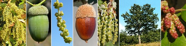 immagine banner chiave