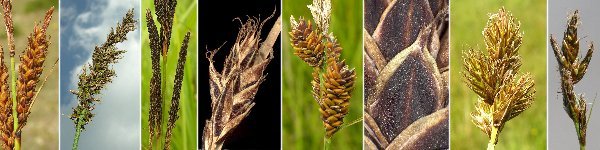 immagine banner chiave