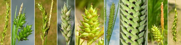 immagine banner chiave